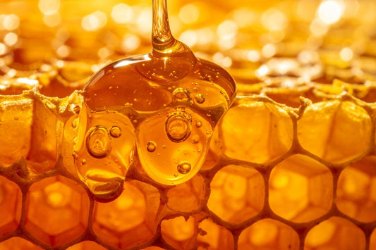 Golden Honey Dripping onto Honeycomb Macro Shot