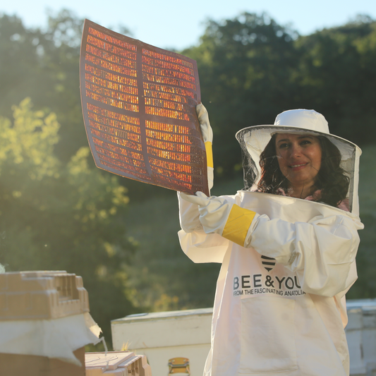 woman holding a pad of honey combs under the soft sunlight
