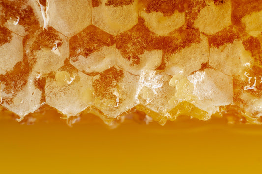 close up honeycomb with beeswax.