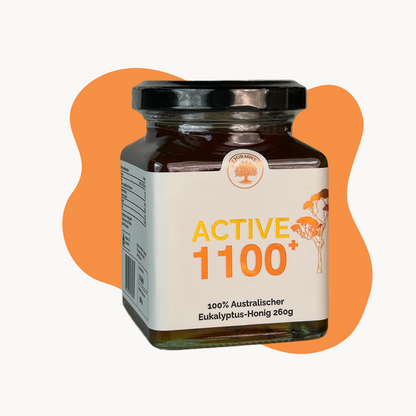 Glas Active 1100+ australischer Eukalyptus-Honig mit schwarzem Deckel und cremefarbenem Etikett, vor orangefarbenem Hintergrundelement.