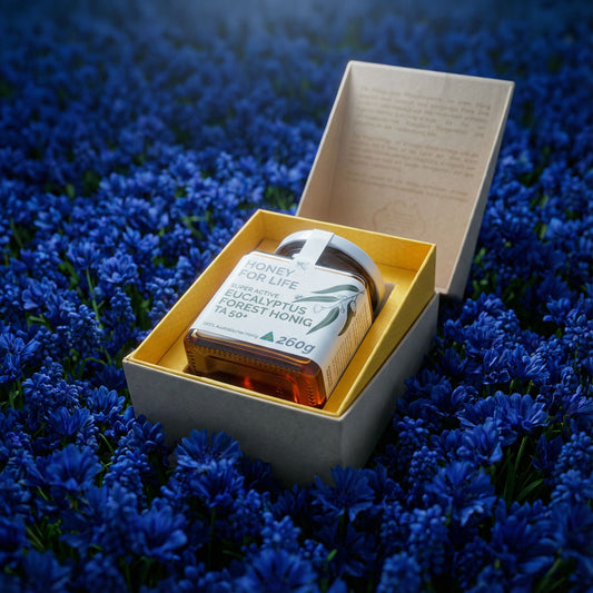 Eucalyptus Forest Geschenkbox